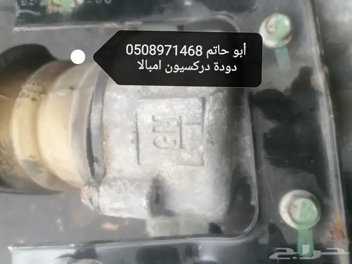 دودة دركسيون امبالا 2016 3