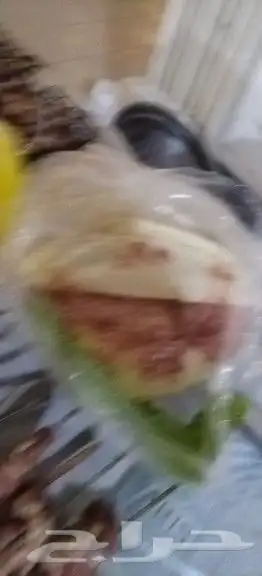 مشوياتك يا شام في الشرقية وما حولها 3