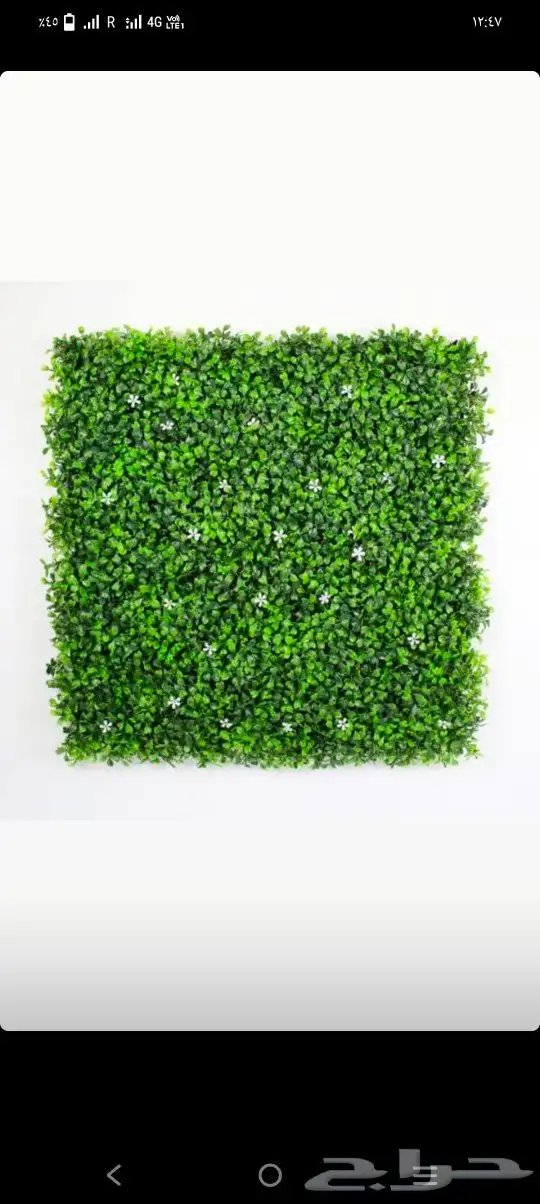 مستودع جملة فنووون العشب 5