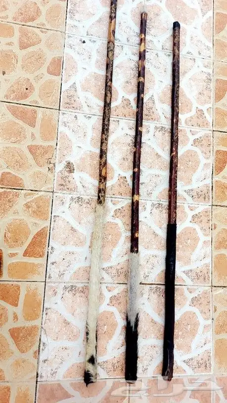 عصي مزمار مسقيه ومجلبه وجاهزه 1