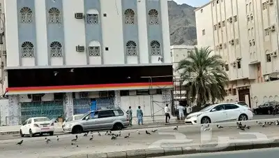 كلادنج عمل الوجهات مكه وجده 053-043-9246 3