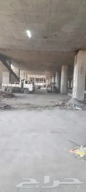 بوب كات و دينا للإيجار 2
