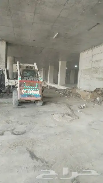 بوب كات و دينا للإيجار 1