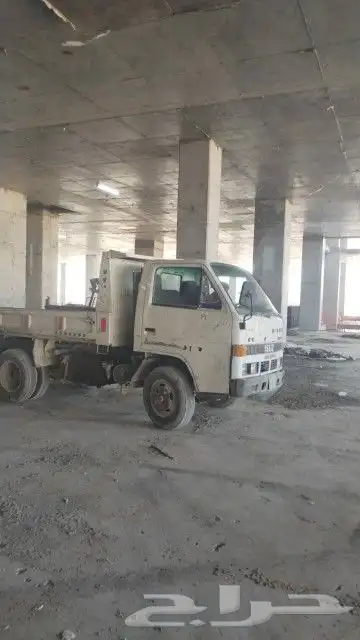 بوب كات و دينا للإيجار 3