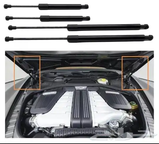 قطع بنتلي امكانية الشحن 19