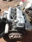 تشليح الحمدانيه.. شمال جده.. حوش احمد مبروك 11