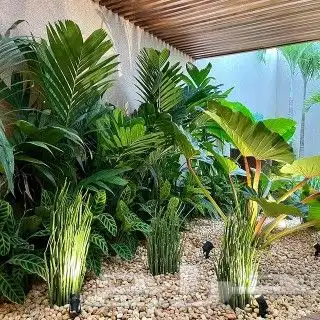 تنسيق حدائق وكل ما يخص الحديقه للتواصل معنا 6