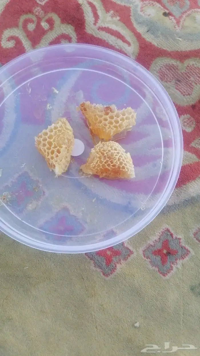 عسل نحل سمره على الضمان ومشروط 6