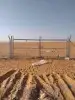 مقاول شبوك بجميع انواعها 5