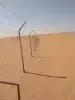 مقاول شبوك بجميع انواعها 2