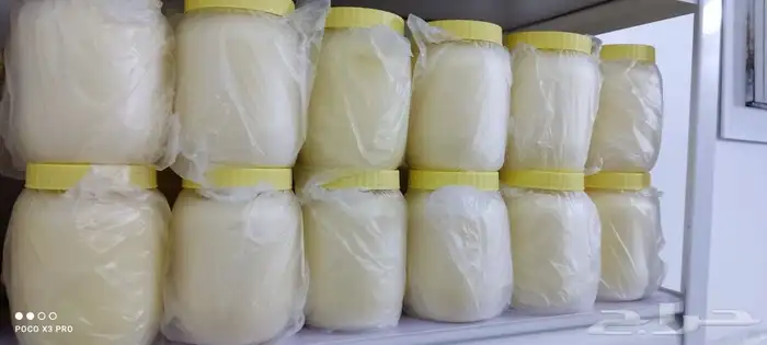 سمن ماعز بري ابيض بسعر الجملة وسمن ماعز مضومر اخضر 4