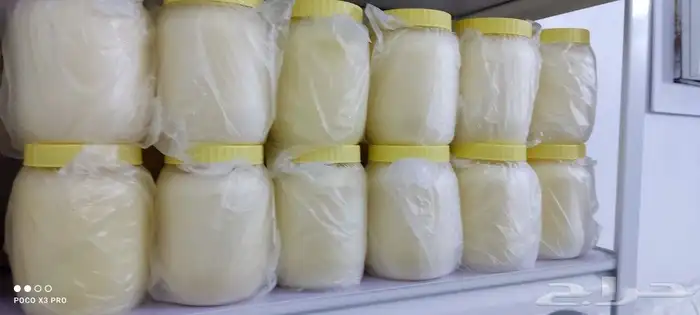 زبدة وسمن ماعز بري ابيض واصفر واخضر بسعر الجملة 1