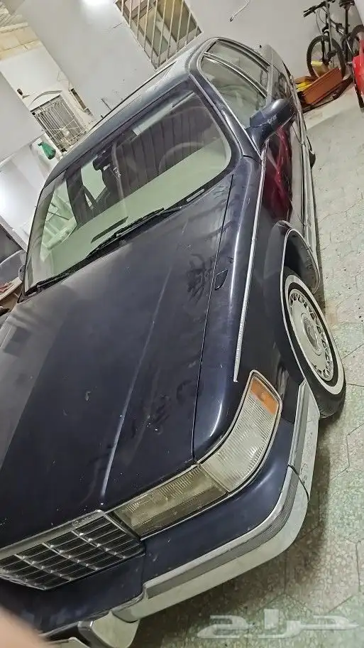 كدلك موديل 95 كلاسيك استخدام رجال كبير 4