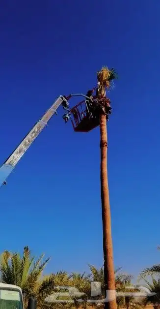 يوجد لدينا بوم تراك ونش 0