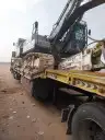 لوبد متواجد في تيماء الجهرا 0