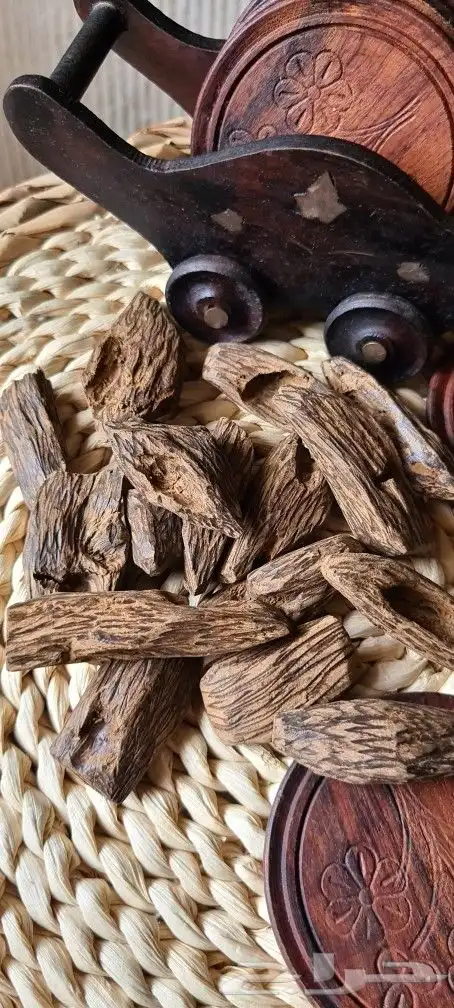عود مروكي محسن 0