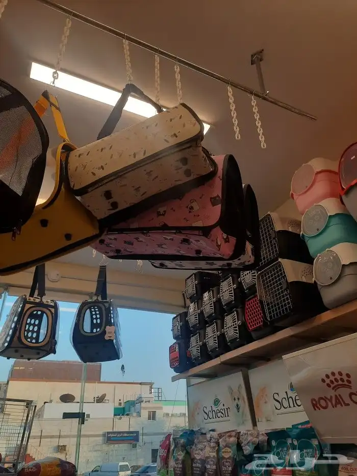 خداشة قطط بيوت قطط شنطة قطط شنطة طيور هملايا سيامي شيرازي 8