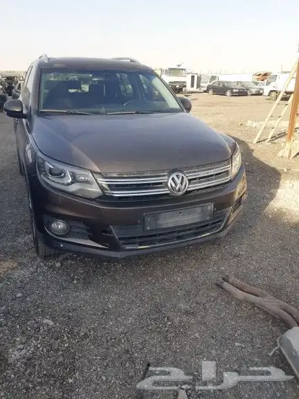 تشليح سعد السبيعي 1