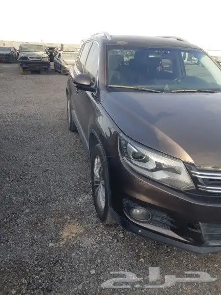 تشليح سعد السبيعي 2