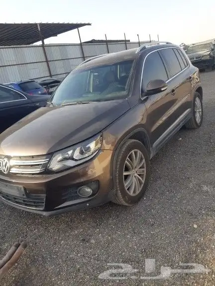 تشليح سعد السبيعي 0