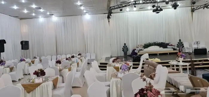 ستاير وكوش الطايف 17