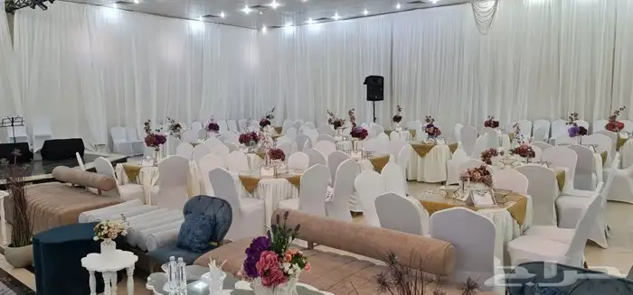 ستاير وكوش الطايف 16