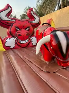 لعبة الثور_الهائج 0