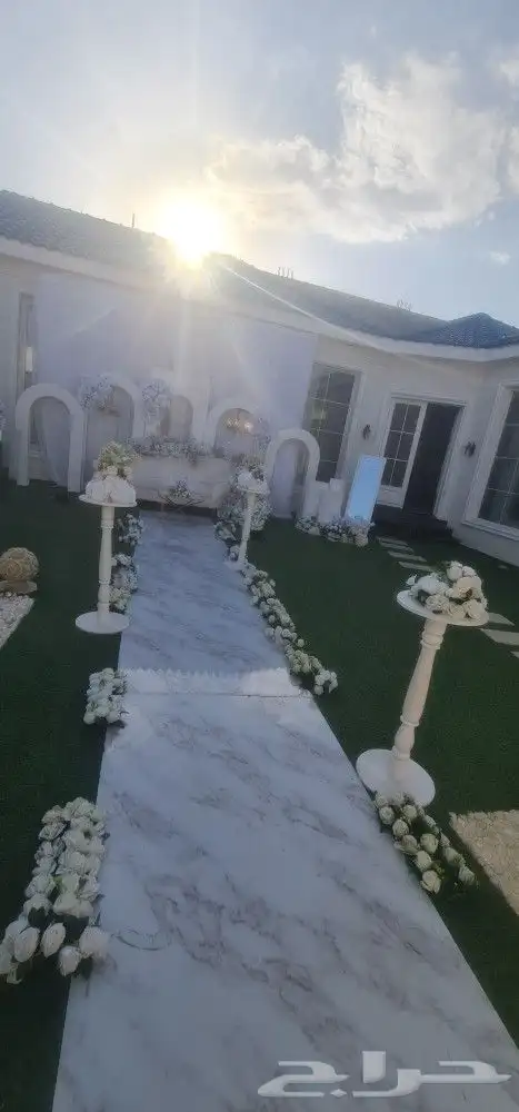 ستاير وكوش الطايف 21