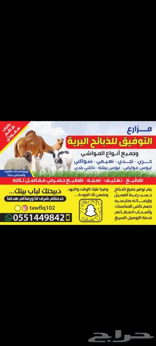 ذبايح لباب بيتك حريات وسواكني وتيوس عوارض 0