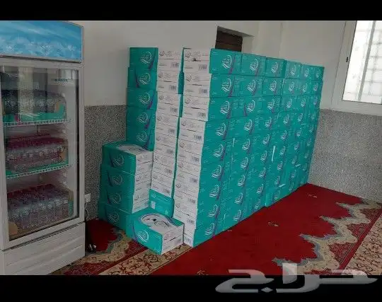 مندوب مياه في المهد 4