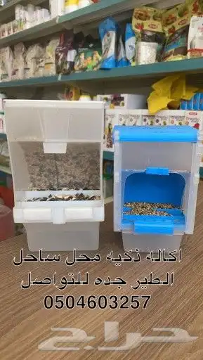 اكاله ذكيه اكاله اتمتك بادجي روز كروان كنيور حسون كناري زبره 0