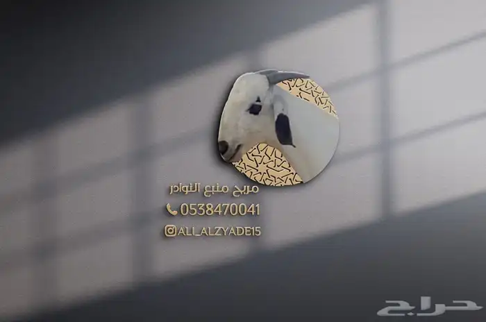 تصميم شعارات تصميم تعديل شعار شعارات تجديد شعارات 9