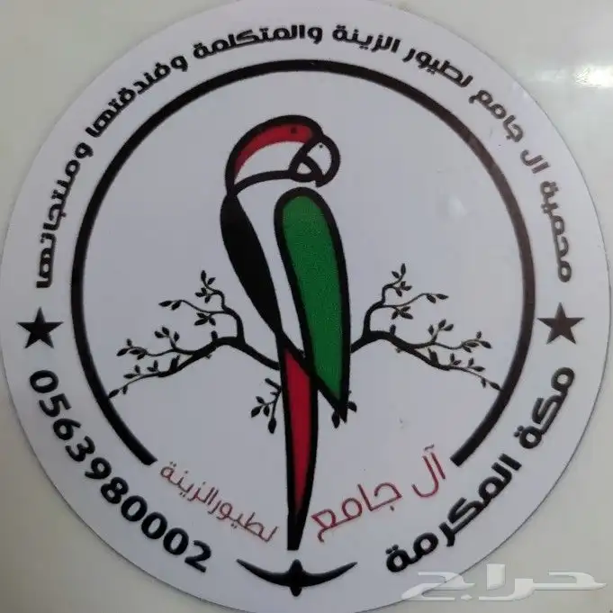 بياضات خشبية للطيور 0