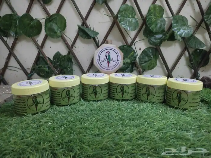 مورنقا للطيور 1