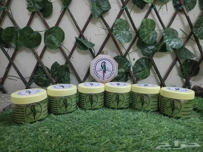 مورنقا للطيور 2