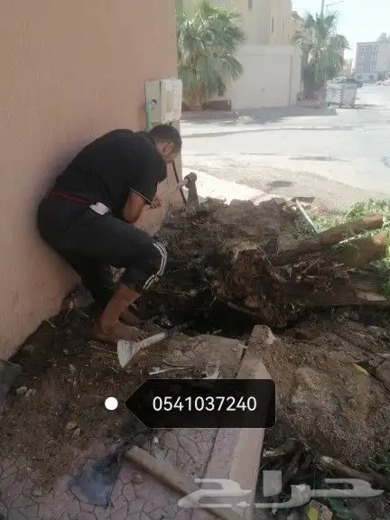 تكريب النخيل وخلع الاشجار 8