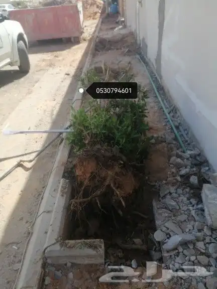 تكريب النخيل وخلع الاشجار 6