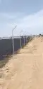 زراعه نخيل 4
