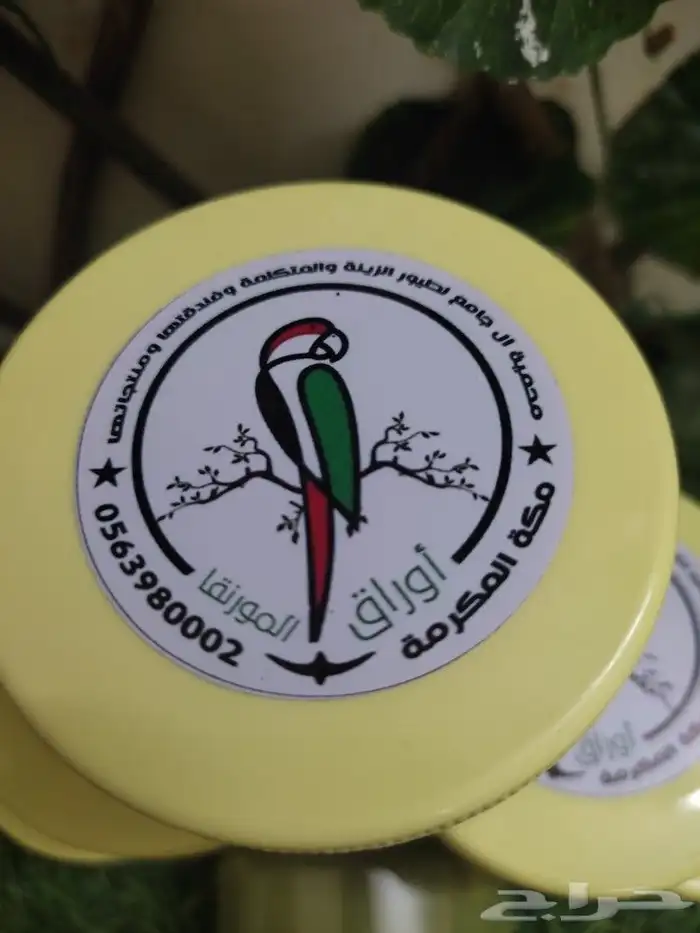 مورنقا للطيور 4