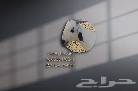 تصميم شعارات بطريقه مميزه 1