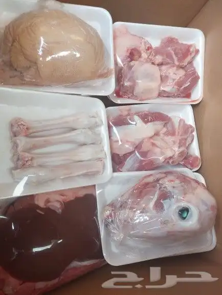 طبخ مع التوصيل وذبايح ثلاجة 9