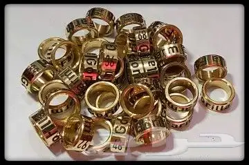 حجول كاسكو 4