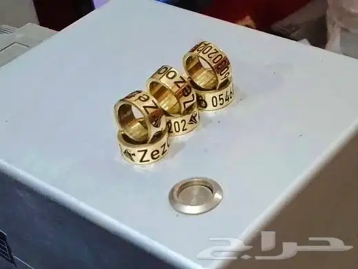 حجول كاسكو 2