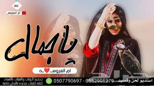 استديو تنفيذ شيلات زواج زفات مناسبات لحن وقصيد تبعونا تكتوك 1