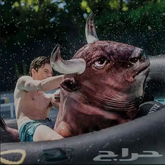 لعبة الثور العائم العملاقة متعة التحدي في المسبح 3