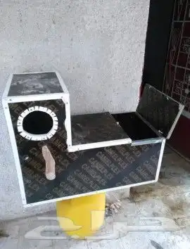 بيضات كاسكو امزوني كوكاتو مكاو ...الخ 7