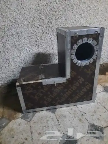 بيضات كاسكو امزوني كوكاتو مكاو ...الخ 8