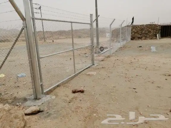 مقاولات الشبوك وتوريد النخيل 8
