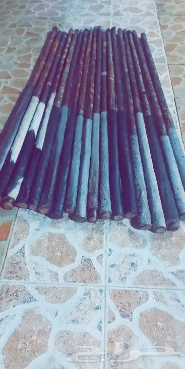 عصي مزمار عصي لوز وعصي بومب مسقيه ومجلبه 13