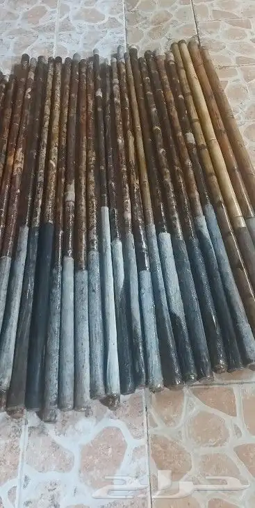 عصي مزمار عصي لوز وعصي بومب مسقيه ومجلبه 23